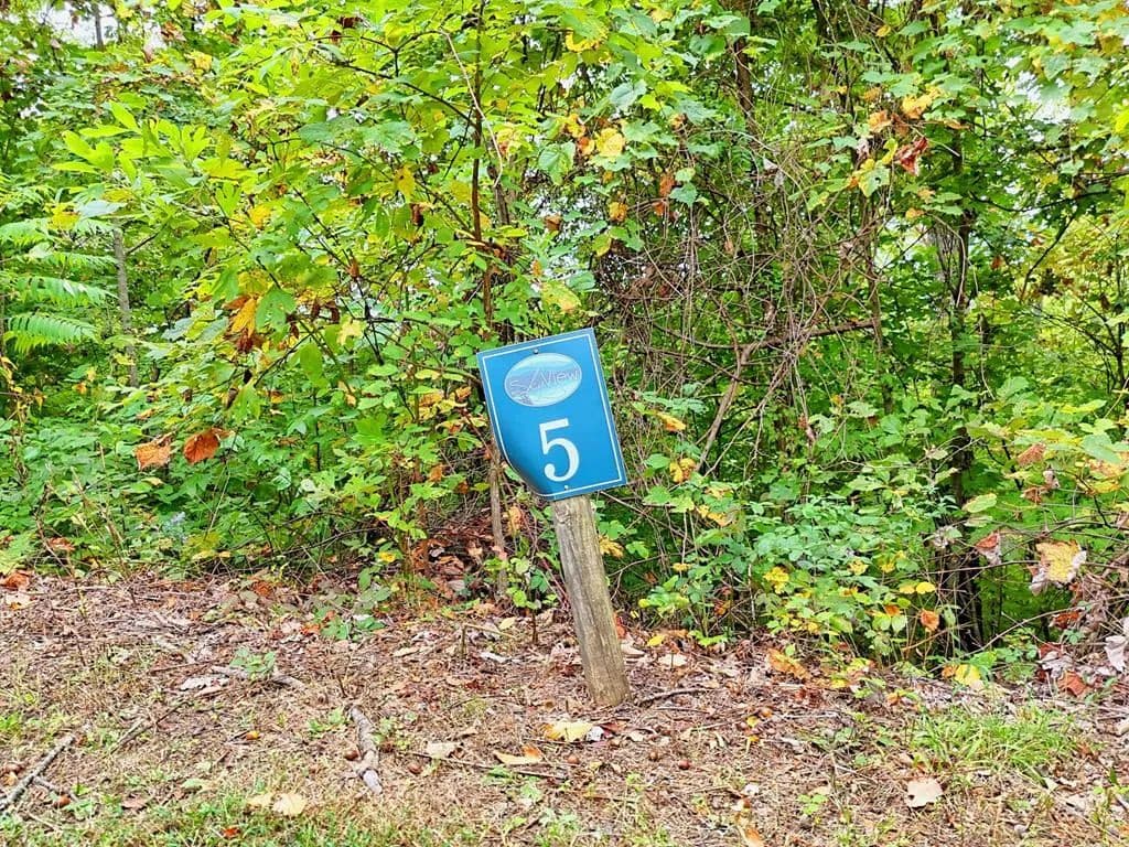 Lots & Land-Other in Hayesville - Hayesville, North Carolina, 28904
