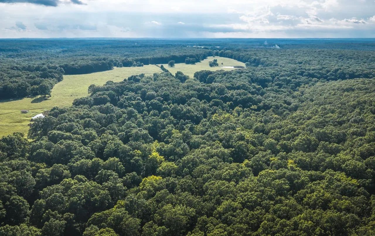 Cedar Acres - Rolla, Missouri, 65401