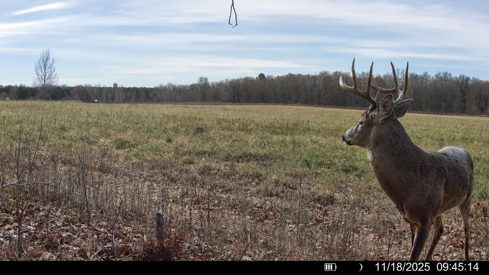 38 Acres of Land for Sale in Emerald, WI - Emerald, Wisconsin, 54013