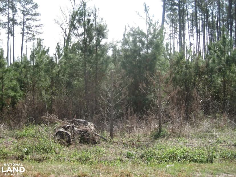 Oak Grove Homesite Lot