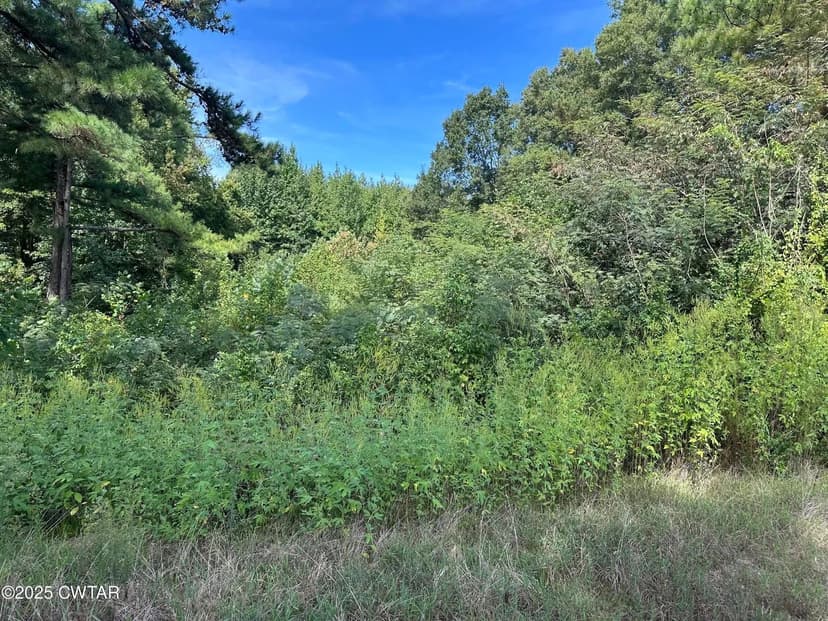 Lots & Land-Other in Stanton