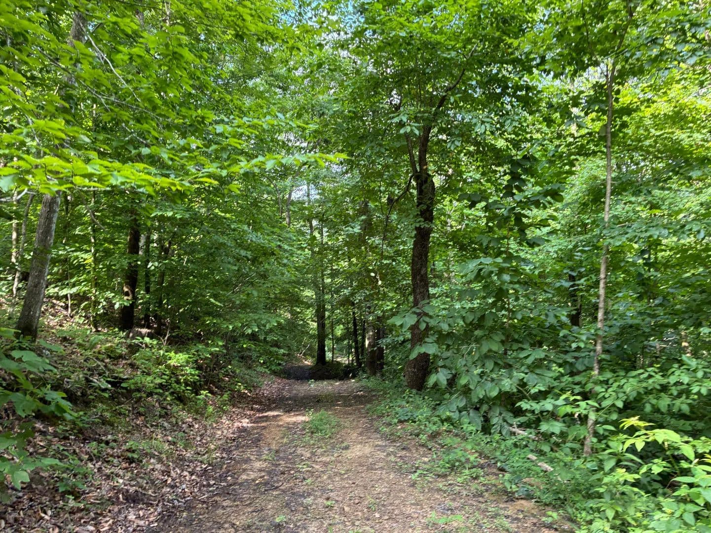 57.94 Acres of Land for Sale in Frenchburg, KY - Frenchburg, Kentucky, 40322
