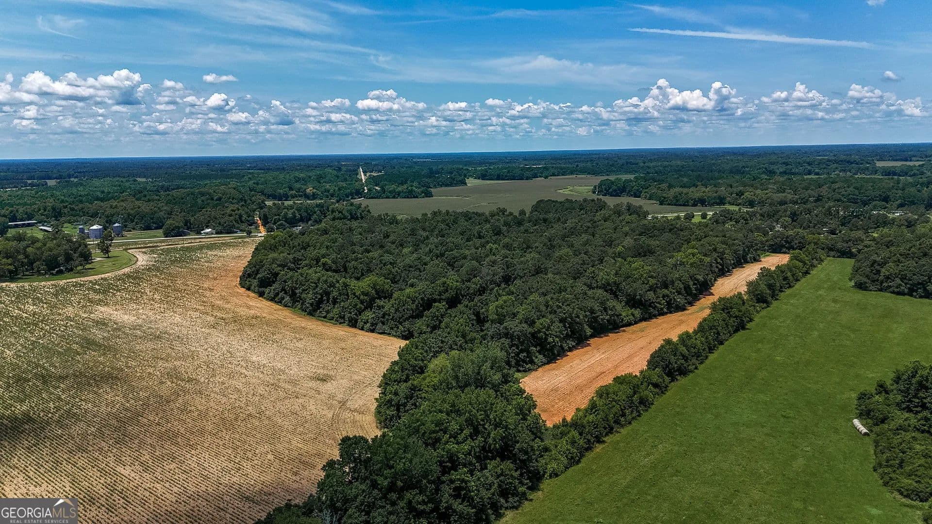 40 Acres of Land for Sale in Edison, GA - Edison, Georgia, 31986