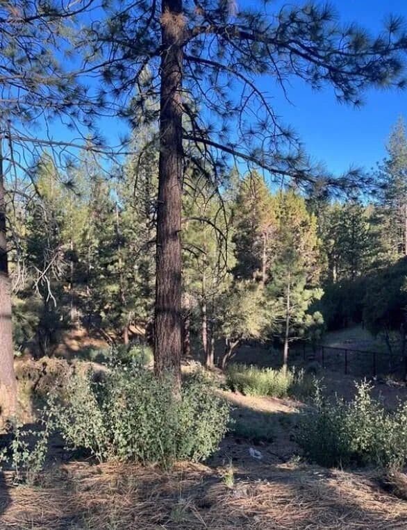 Property from 545 Division Drive - KW - Big Bear City, California, 92314