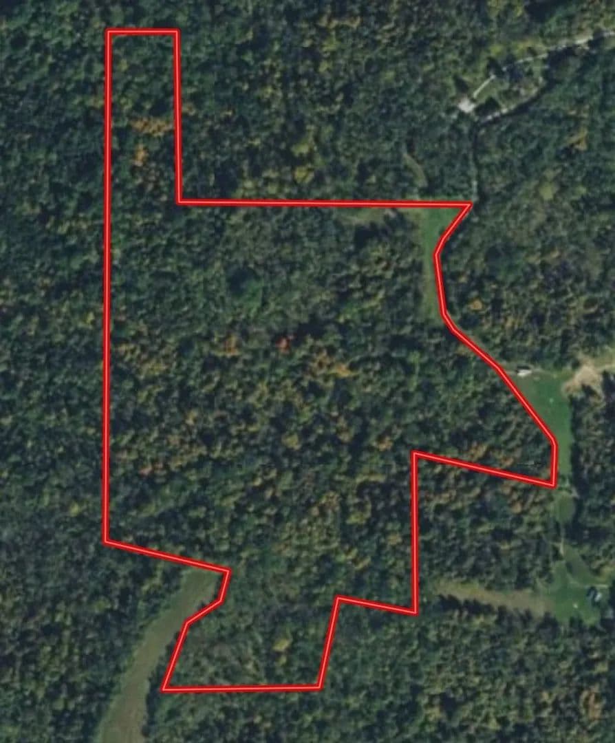 51+/- Acres Recreational / Hunting / Building Lot - Patriot, Indiana, 47038