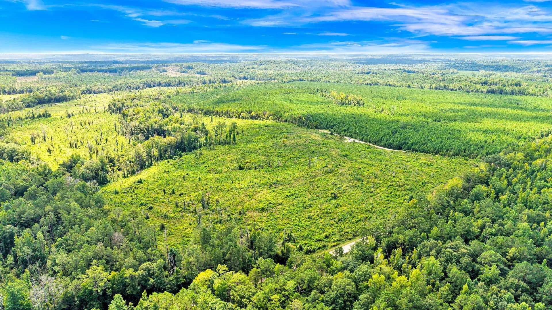 310 +/- Acres- in the Oaky Streak Community of Butler County, AL - Greenville, Alabama, 36037