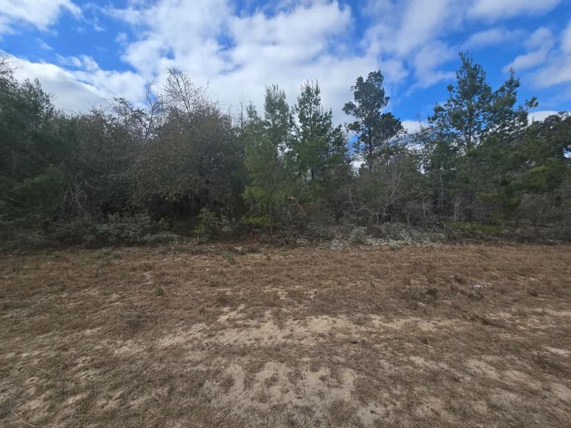 Vacant Land in Chipley