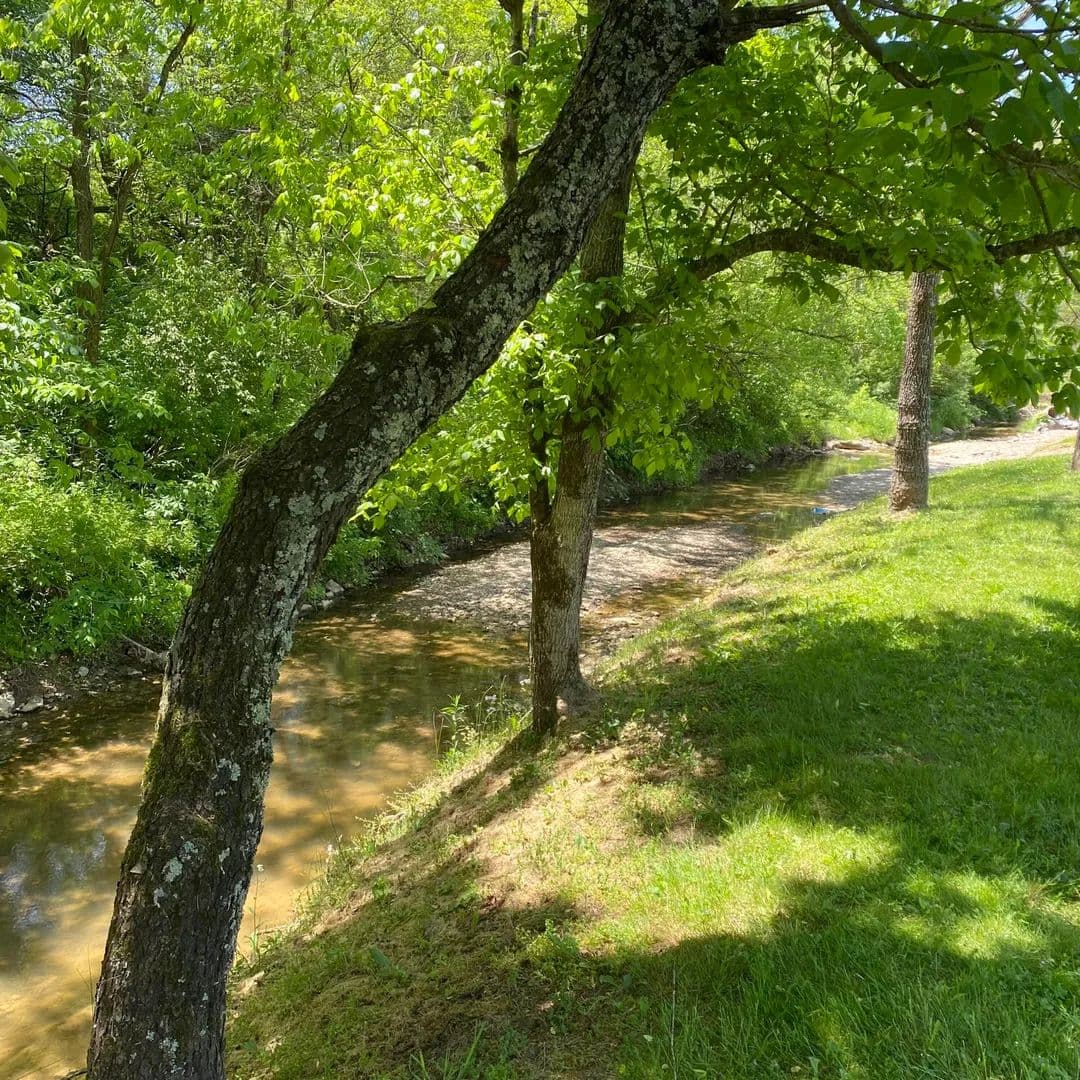 8.27 Acres of Land for Sale in Owingsville, Kentucky - Owingsville, Kentucky, 40360