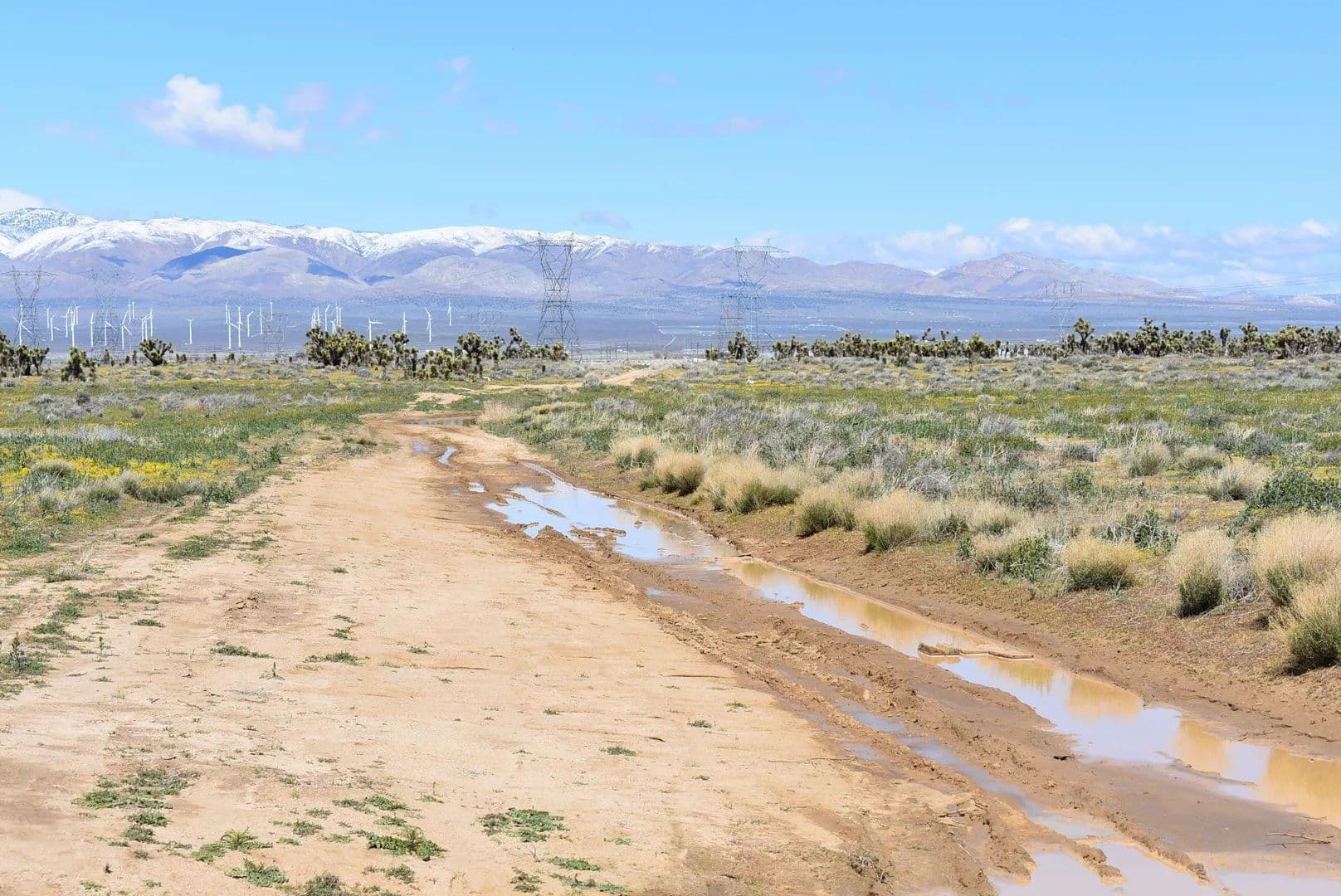Lots & Land-Other in Lancaster - Lancaster, California, 93536