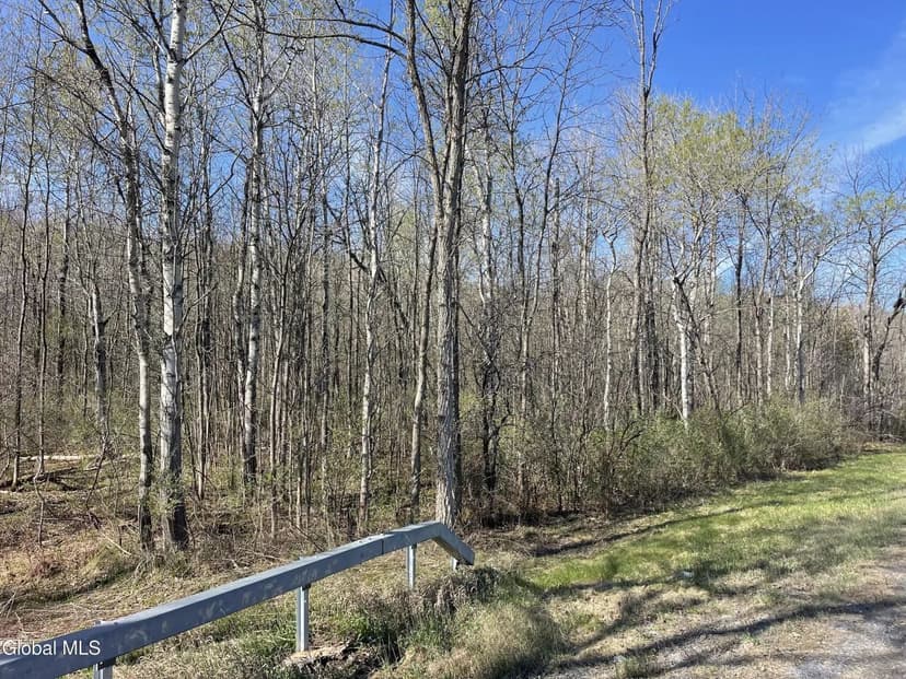Land -Single Family Acreage in Sharon Springs