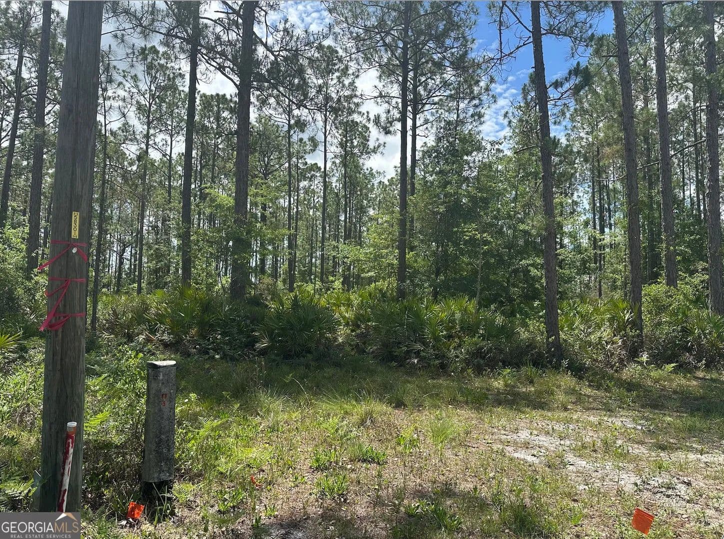 Lots & Land-Other in Folkston - Folkston, Georgia, 31537