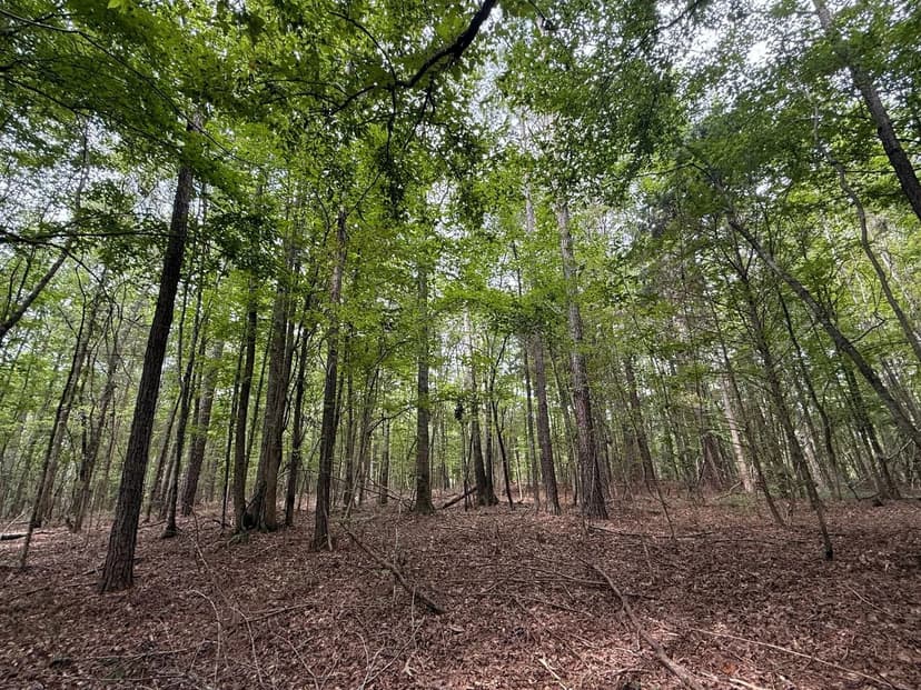 52+/- Acres Providence Church RD. Pickens County, AL