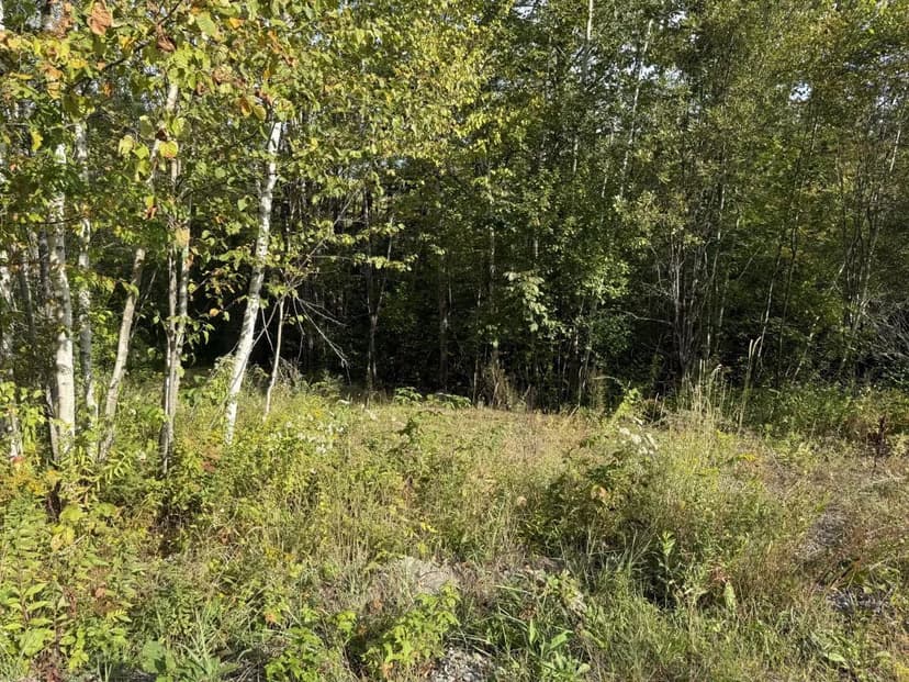Land -Single Family Acreage in Belfast