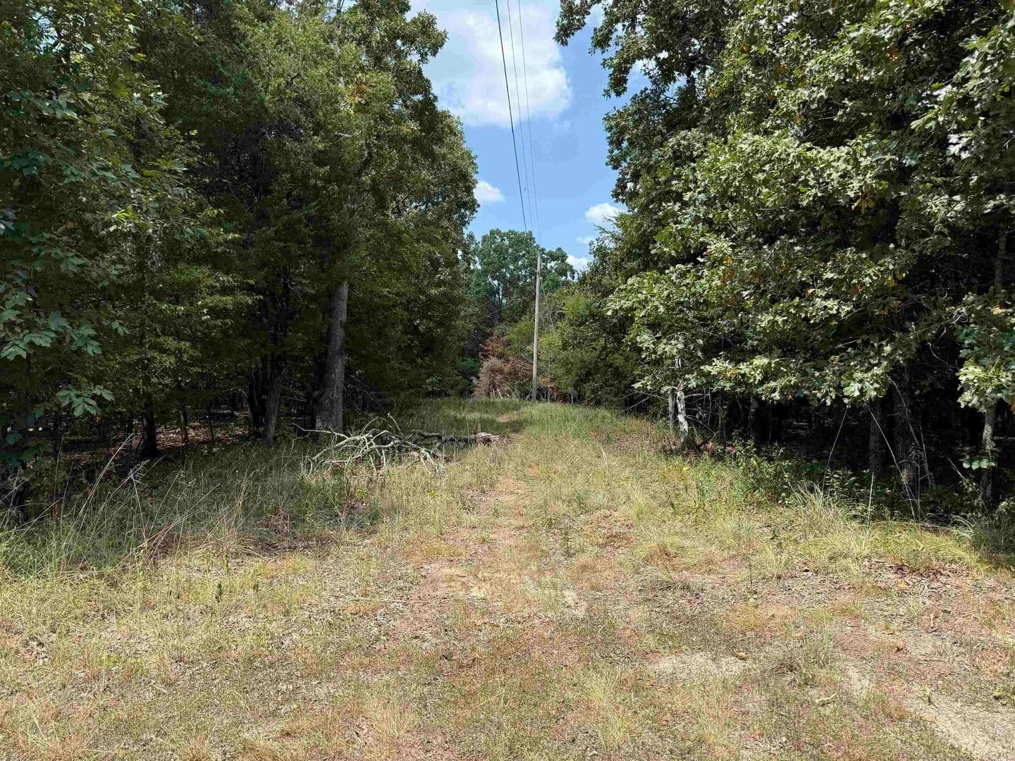 Lots & Land-Other in Russellville - Russellville, Arkansas, 72802