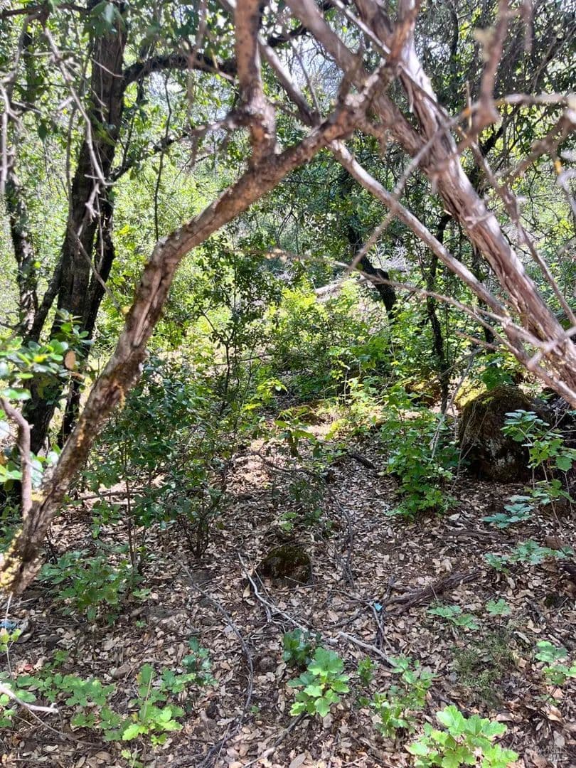 Lots & Land-Other in Clearlake