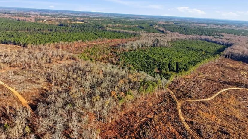 92.67 acres of Recreational and Agricultural Land for Sale in Lee County, SC!