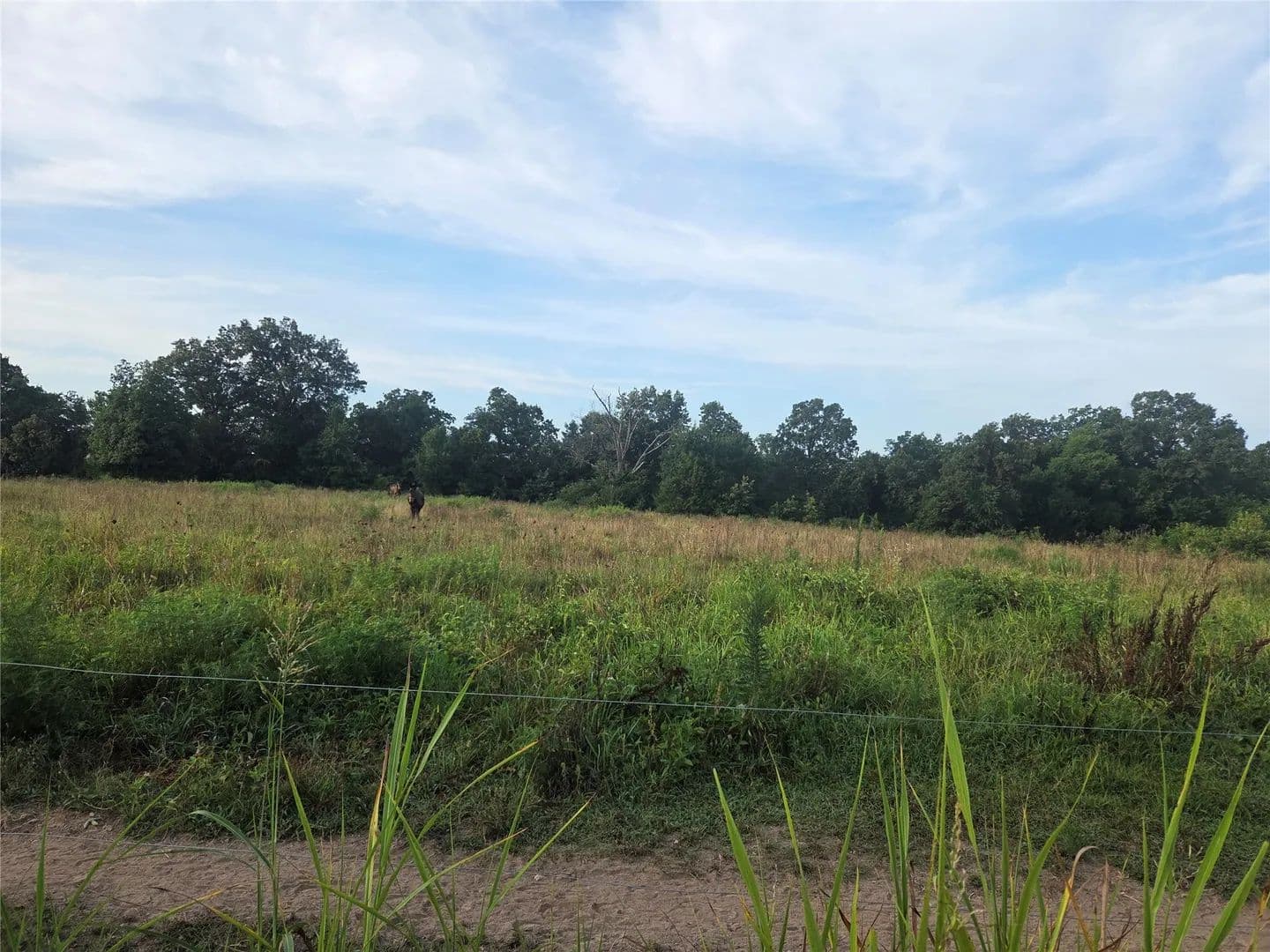1 Acre of Land for Sale in Westville, OK - Westville, Oklahoma, 74965