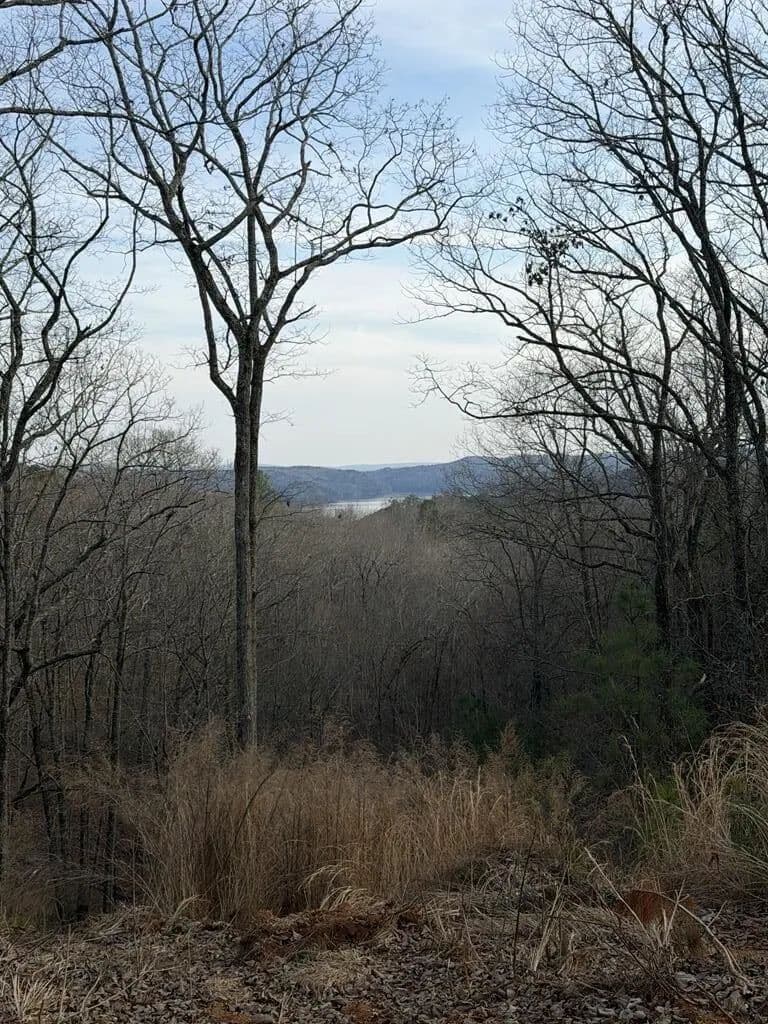 Lots & Land-Other in Ellijay - Ellijay, Georgia, 30540