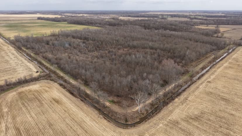 46.3 Acres in Chicot County, AR