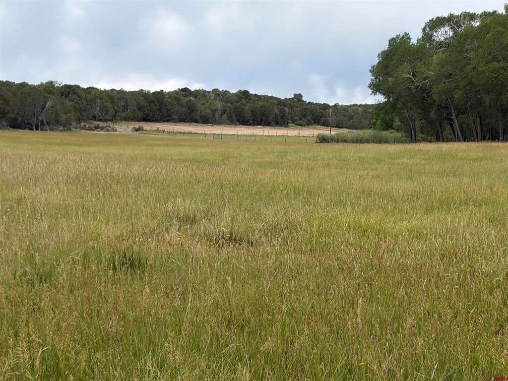 21.09 Acres of Land for Sale in Cedaredge, CO - Cedaredge, Colorado, 81413