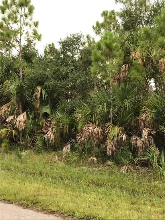 Vacant Land in Port Charlotte - Port Charlotte, Florida, 33953