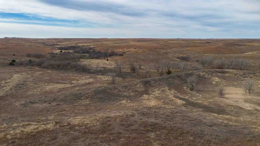 Peterson Creek 640 Acres