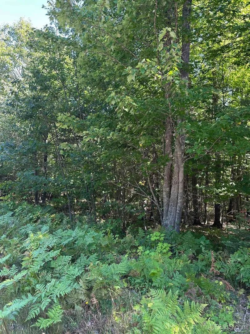 Vacant Land in Marquette - Marquette, Michigan, 49855