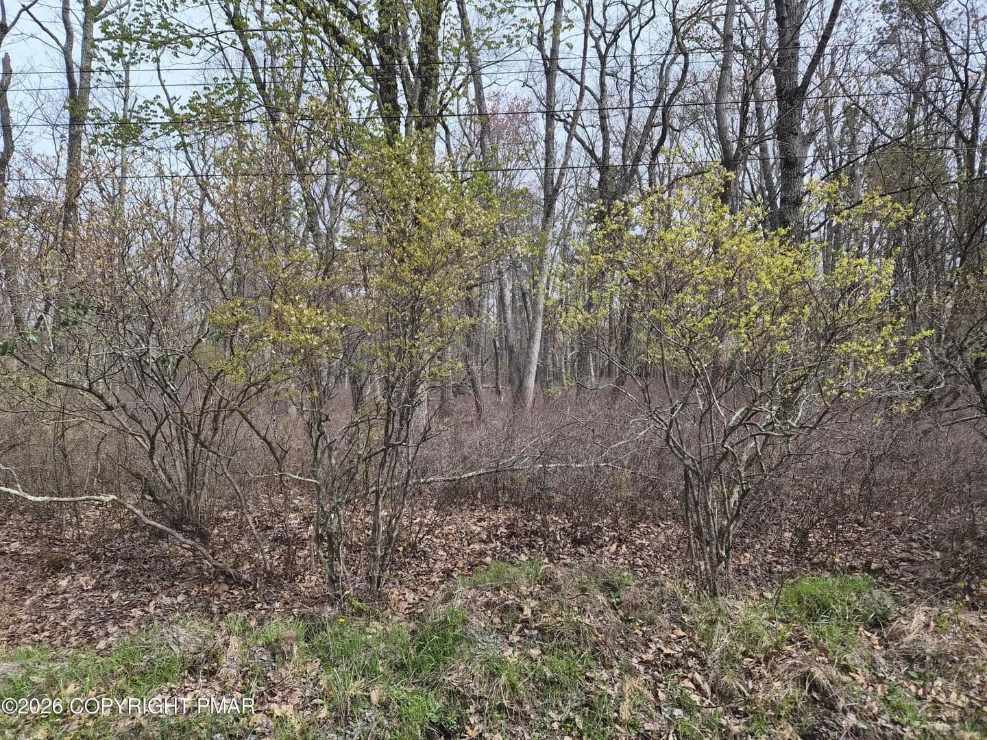 Lots & Land-Other in Canadensis - Canadensis, Pennsylvania, 18325