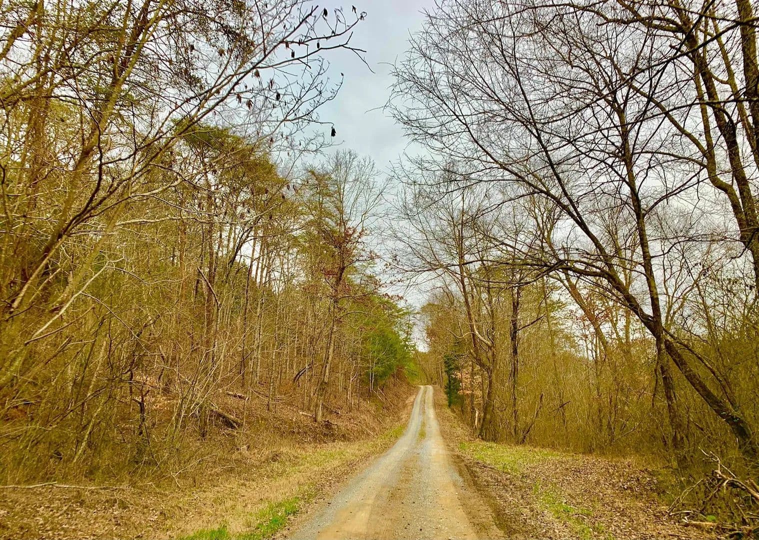 Lots & Land-Other in Chickamauga - Chickamauga, Georgia, 30707