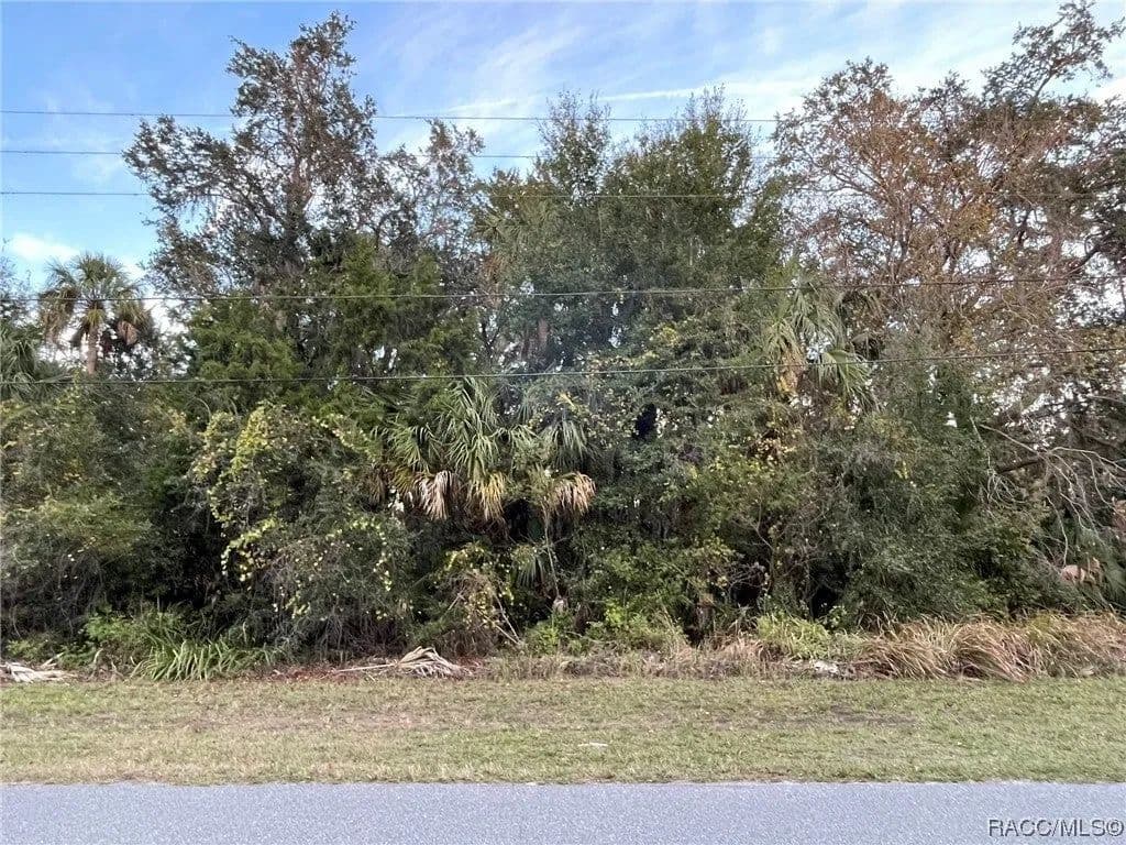 Lots & Land-Other in Homosassa - Homosassa, Florida, 34448