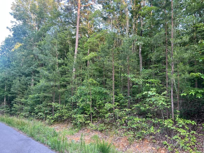 Property from 45 Wohalie Lane - KW