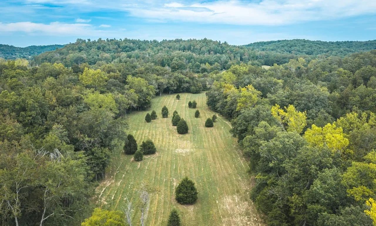 Adkins Hollow Tract 4 - Lesterville, Missouri, 63654