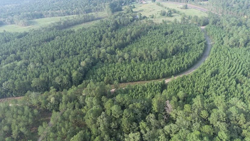 Blue Springs Tract 1