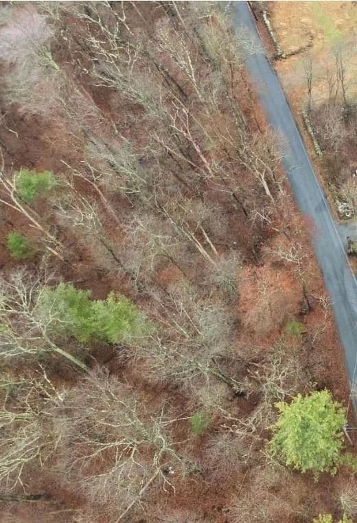 Vacant Land in Scituate