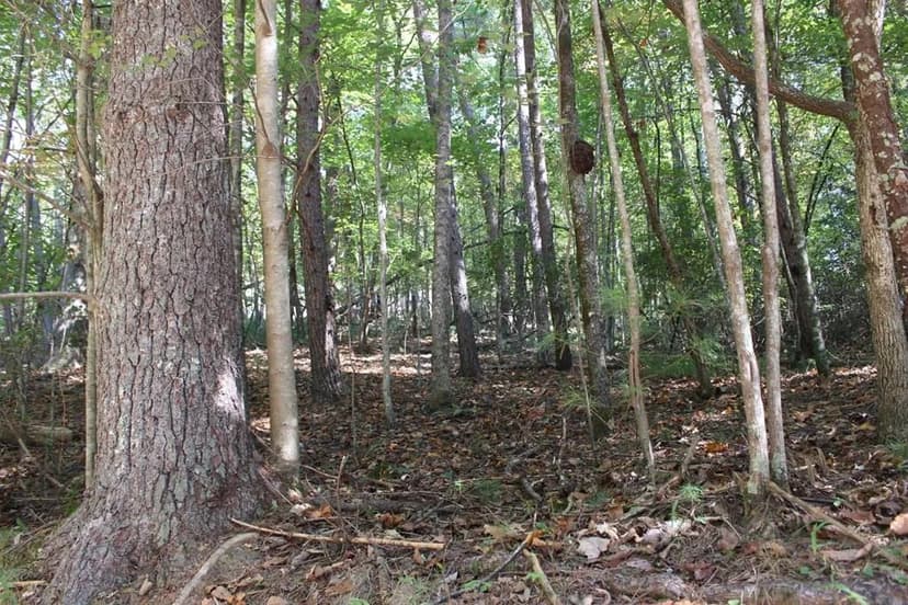 Lots & Land-Other in Ellijay