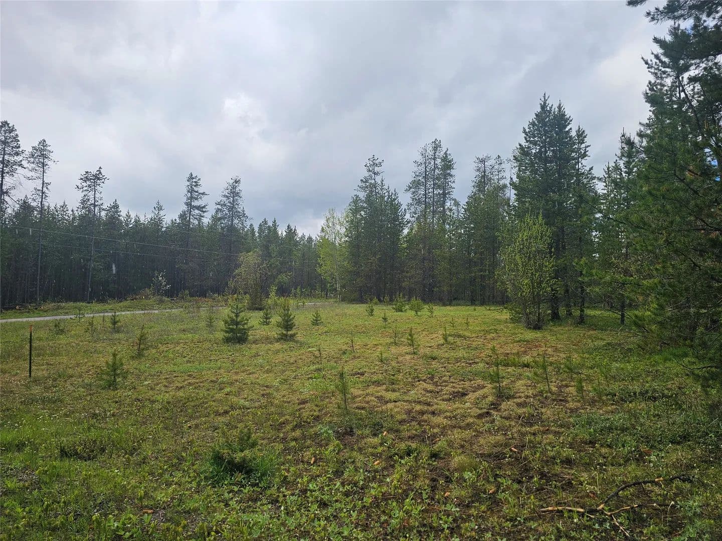 Property from 106 Caribou Street - KW - Coram, Montana, 59913