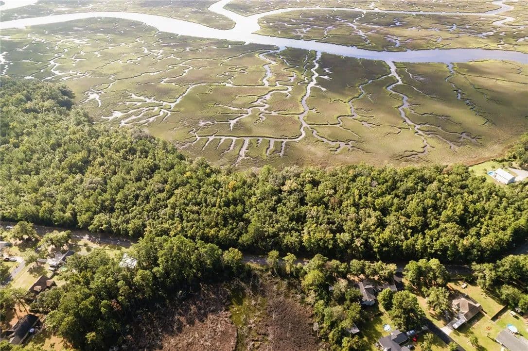 Vacant Land in Woodbine - Woodbine, Georgia, 31569
