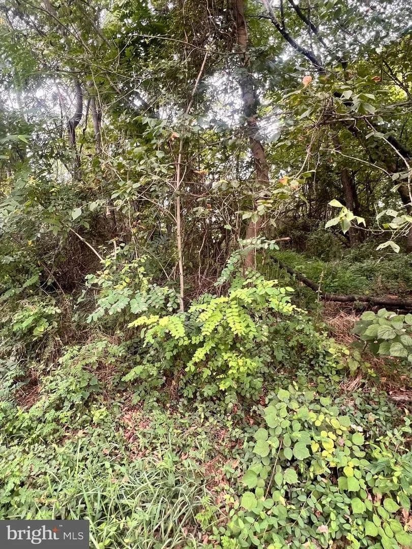Lots & Land-Other in MARTINSBURG - Martinsburg, West Virginia, 25404