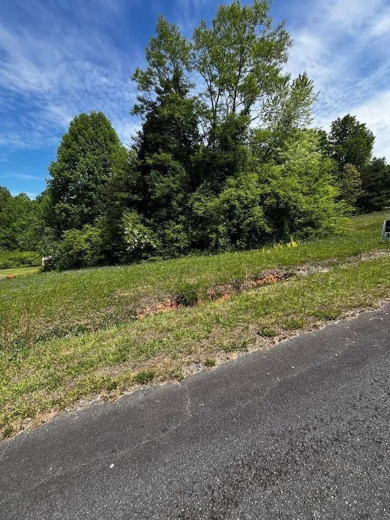 Vacant Land in Cana - Cana, Virginia, 24317