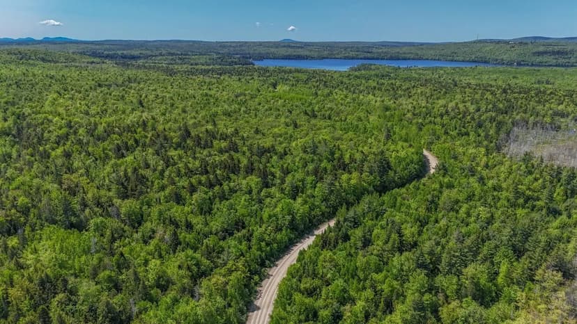 Land -Single Family Acreage in Dedham