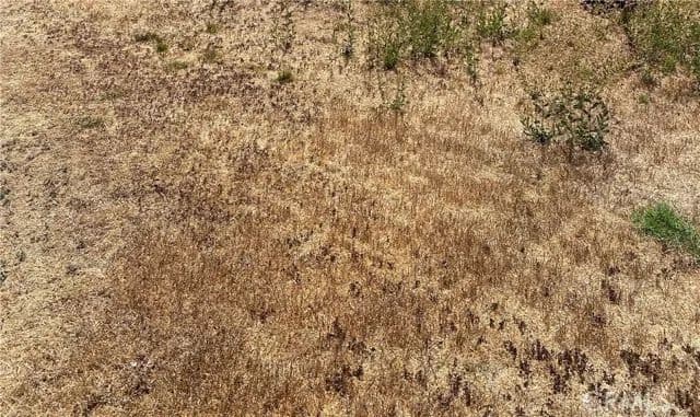 Vacant Land in Antelope Acres - Antelope Acres, California, 93536