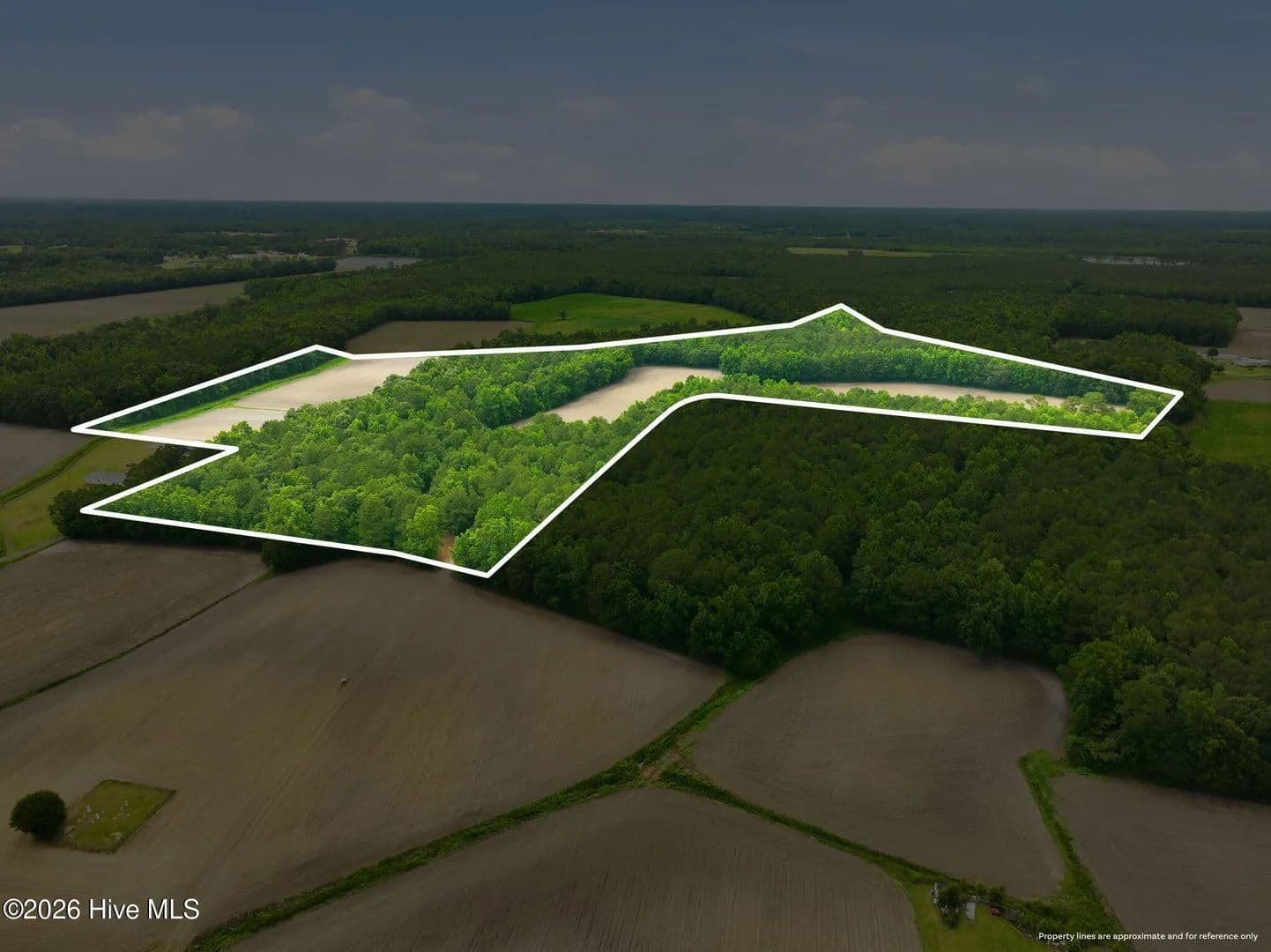 50.8 Acres of Land for Sale in Pink Hill, NC - Pink Hill, North Carolina, 28572