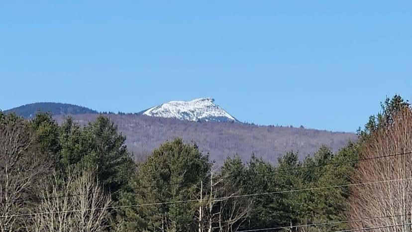 Lots & Land-Other in Troy