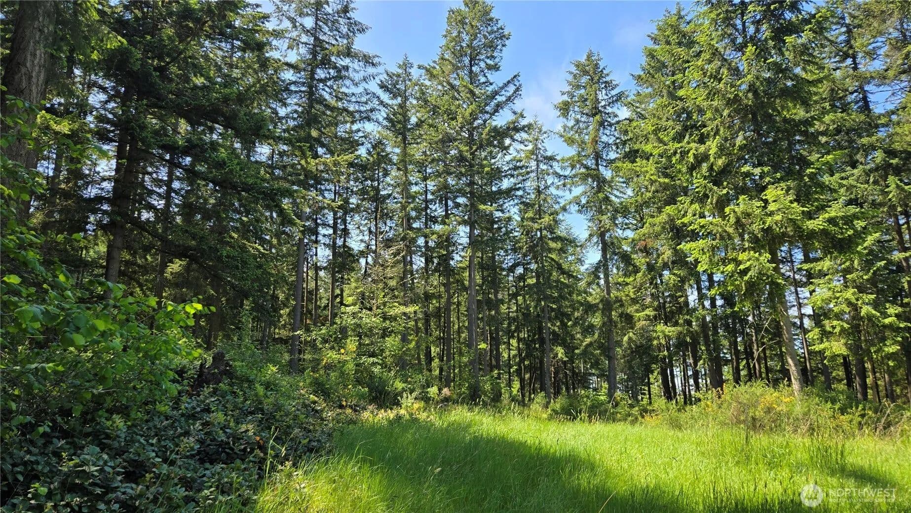 1.9 Acres of Land for Sale in Olympia, WA - Olympia, Washington, 98516
