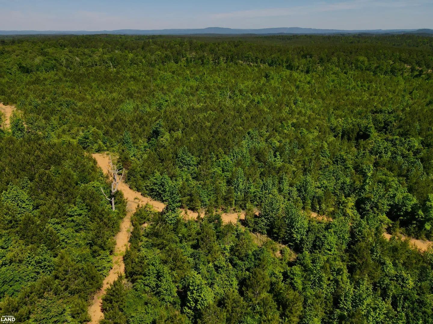 Wilsonville Recreation & Investment Opportunity - Wilsonville, Alabama, 35186