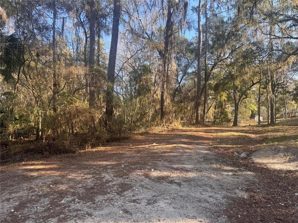 Vacant Land in Fort Mc Coy - Fort Mc Coy, Florida, 32134