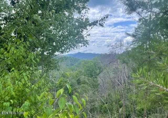 Vacant Land in Sevierville - Sevierville, Tennessee, 37862