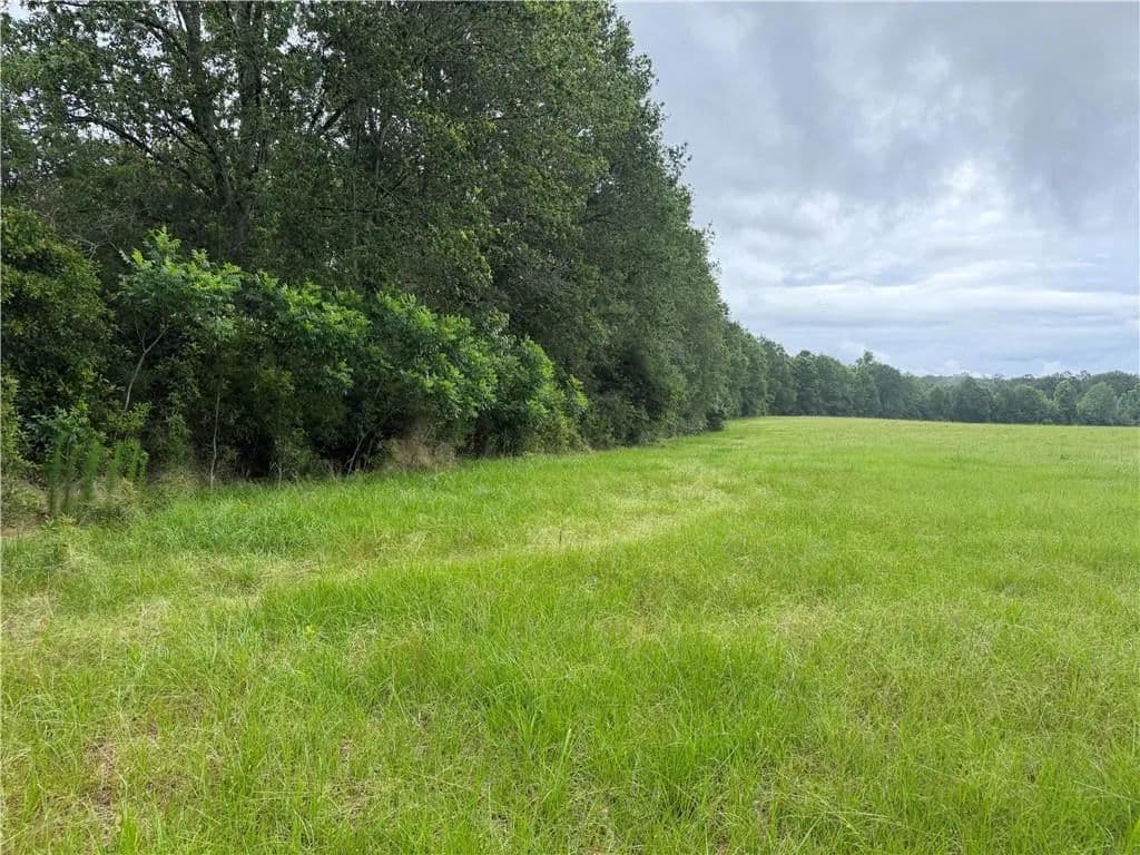 Property from E BELL Road - KW - Amite, Louisiana, 70422