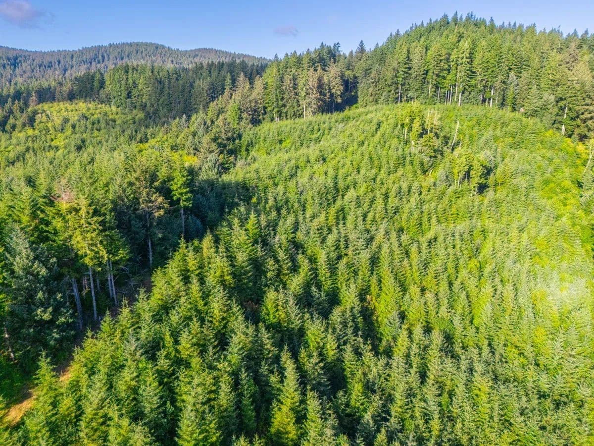 0 Shingle Bolt Road - Otis, Oregon, 97368