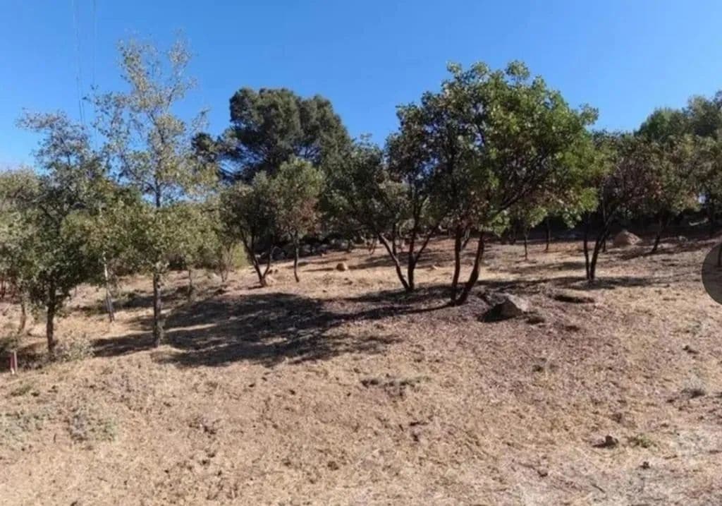 Vacant Land in Kelseyville - Kelseyville, California, 95451
